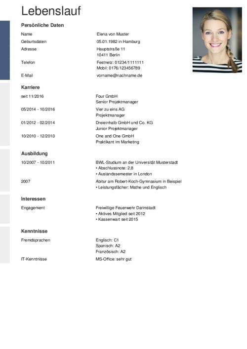 lebenslauf elegant